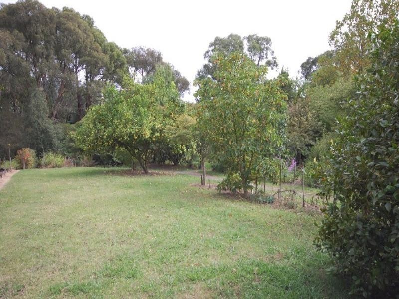 135 Clegg Road, Mount Evelyn VIC 3796