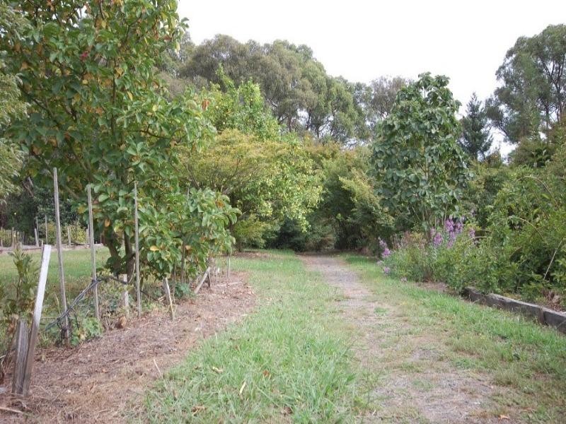 135 Clegg Road, Mount Evelyn VIC 3796