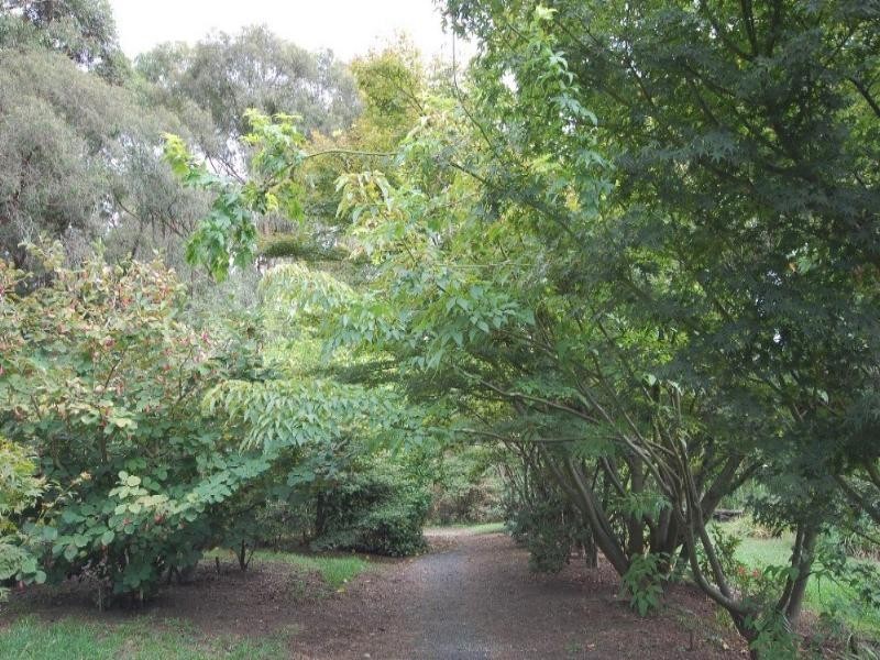 135 Clegg Road, Mount Evelyn VIC 3796