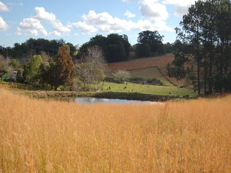 279 Eungai Creek Road, Eungai Creek NSW 2441