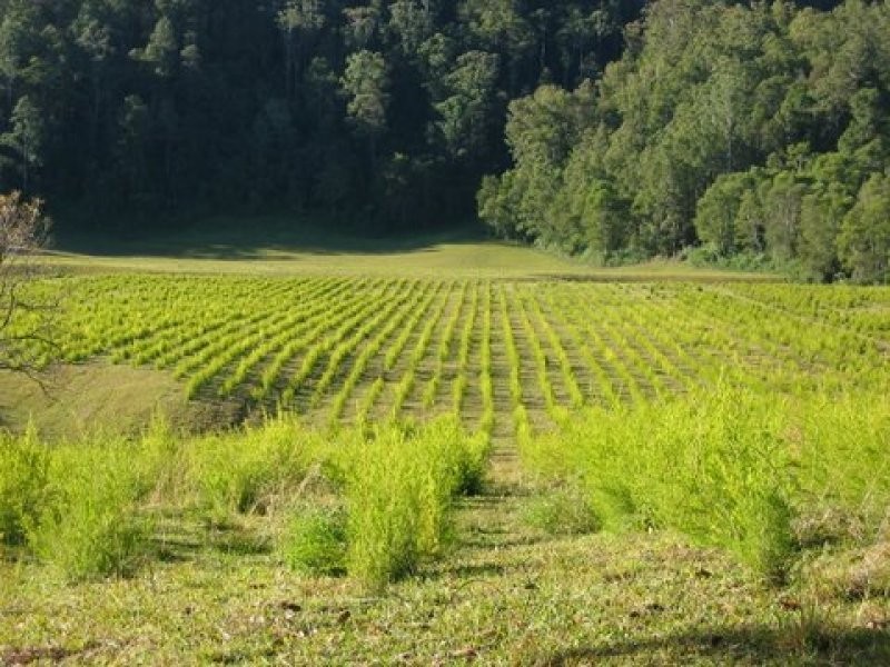 1756 North Arm Road, Bowraville NSW 2449