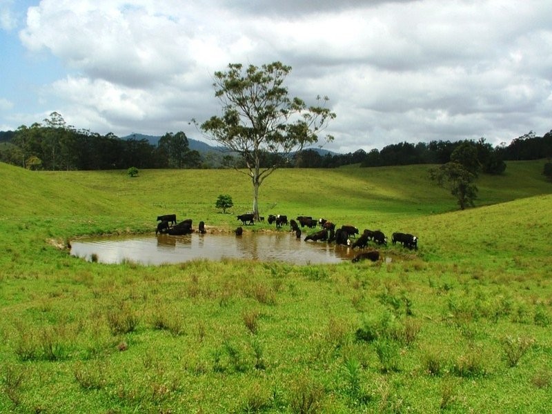 212 Bakers Creek Road Taylors Arm, Macksville NSW 2447