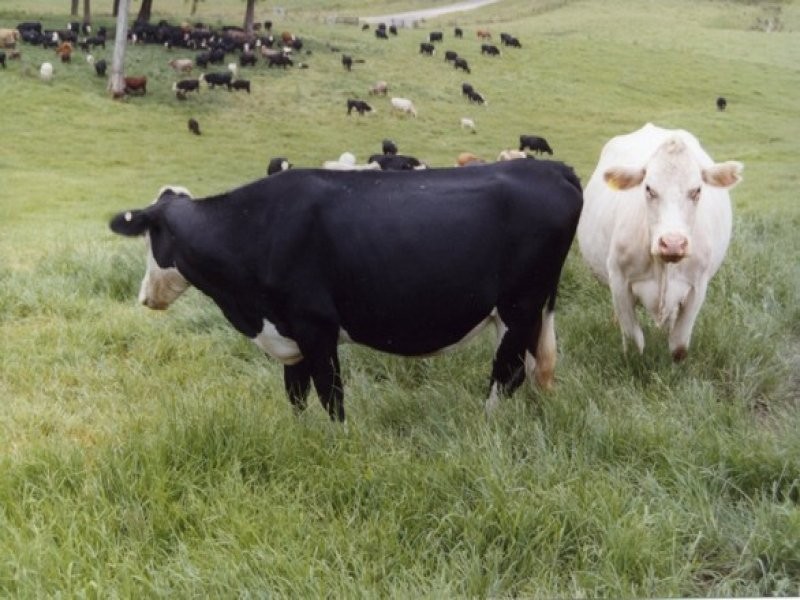 2927 Taylors Arm Road, Macksville NSW 2447