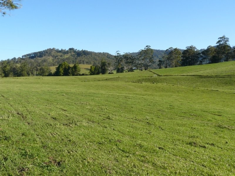 2927 Taylors Arm Road, Macksville NSW 2447