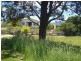 600 Valla Road,, Valla NSW 2448