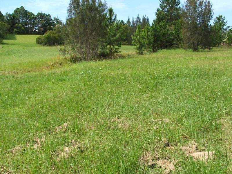 16 Laura Place, Macksville NSW 2447