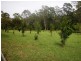58 Lot 32 Allgomera, Eungai Creek NSW 2441