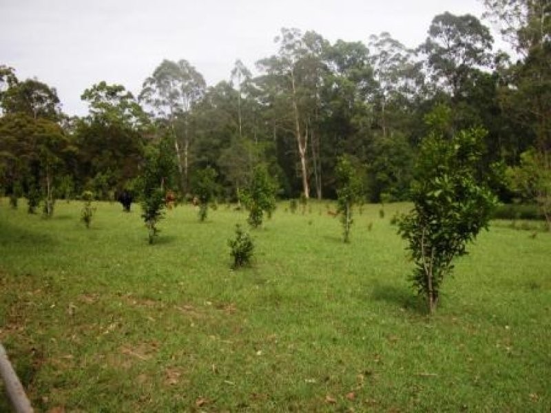 58 Lot 32 Allgomera, Eungai Creek NSW 2441