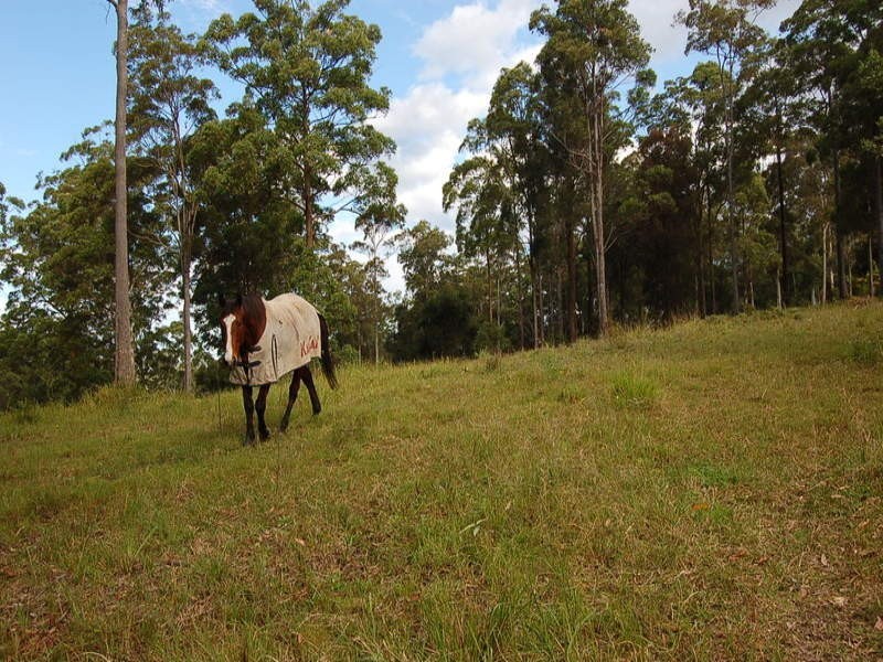 340 Wirrimbi Road, Nambucca Heads NSW 2448