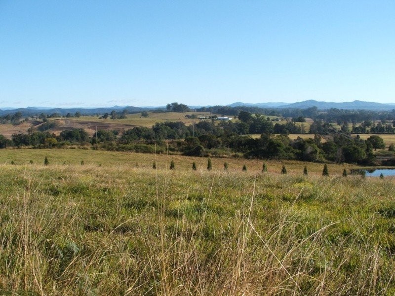 Lot 32 Albert Drive, Warrell Creek NSW 2447