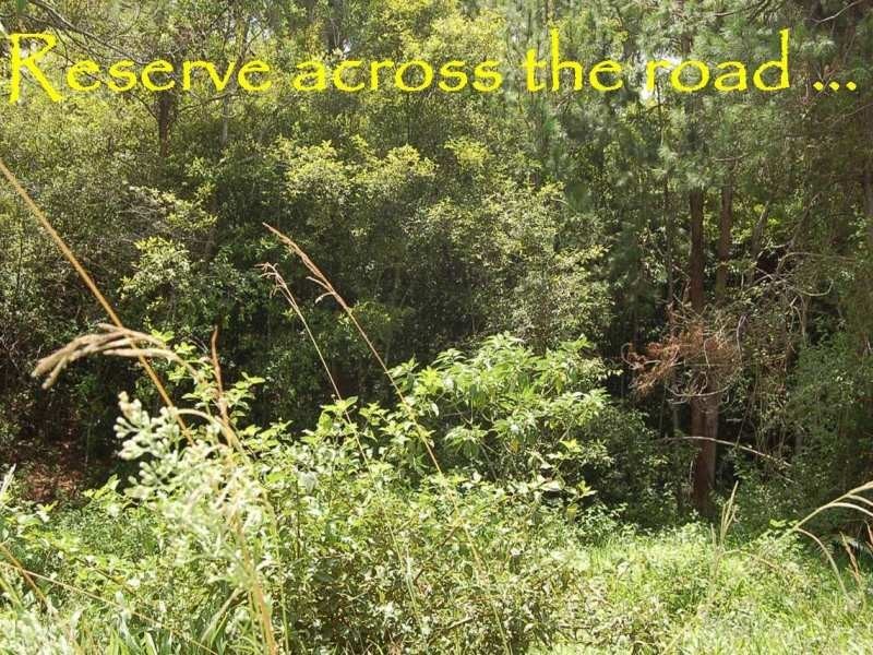 10 Lorikeet  Place, Nambucca Heads NSW 2448