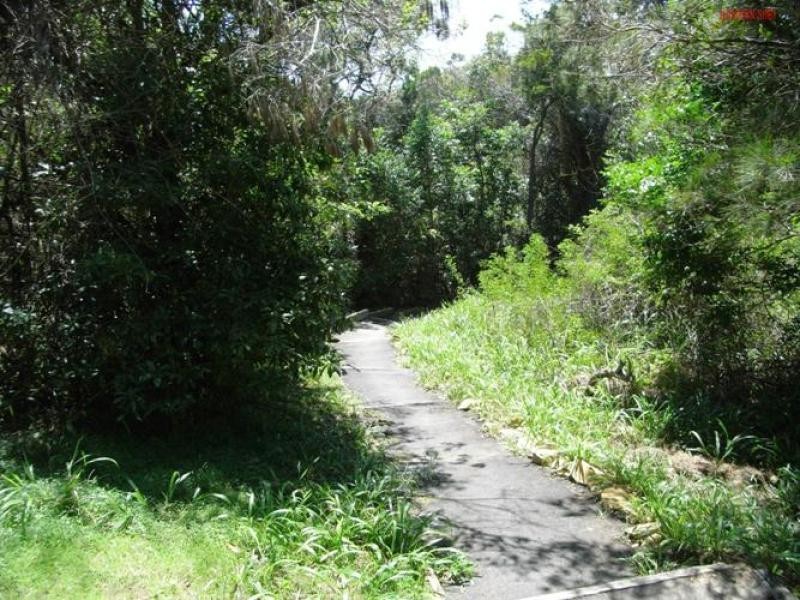 16 Pilot Street, Nambucca Heads NSW 2448