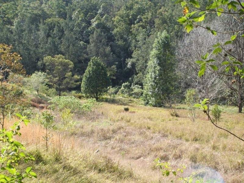 640 Upper Buckrabendinni Road, Bowraville NSW 2449