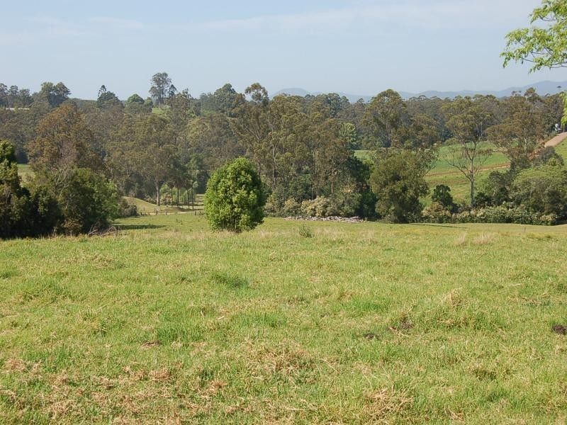 183 Soldiers Settlers Road, Newee Creek NSW 2447