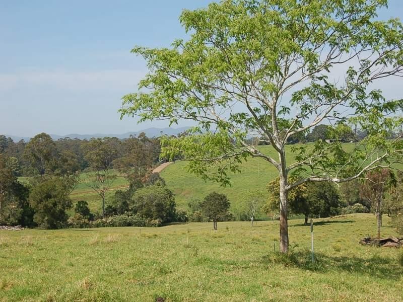 183 Soldiers Settlers Road, Newee Creek NSW 2447