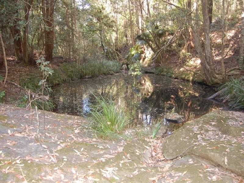 183 Soldiers Settlers Road, Newee Creek NSW 2447