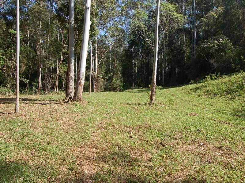 183 Soldiers Settlers Road, Newee Creek NSW 2447