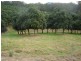 52 Broughams Road, Valla NSW 2448