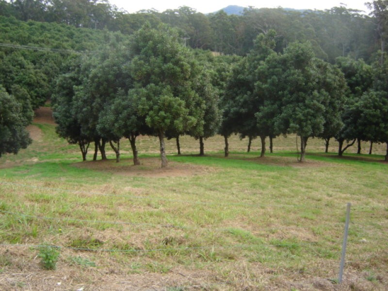 52 Broughams Road, Valla NSW 2448