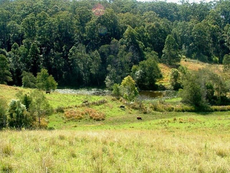 194 Talarm Road, Talarm NSW 2447