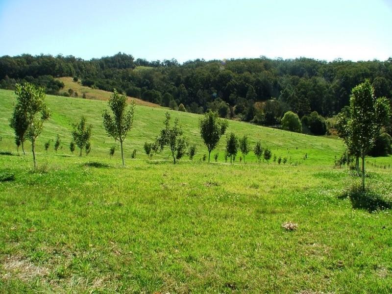 194 Talarm Road, Talarm NSW 2447