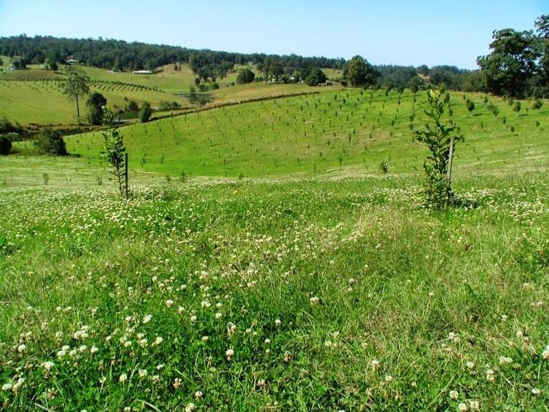 194 Talarm Road, Talarm NSW 2447