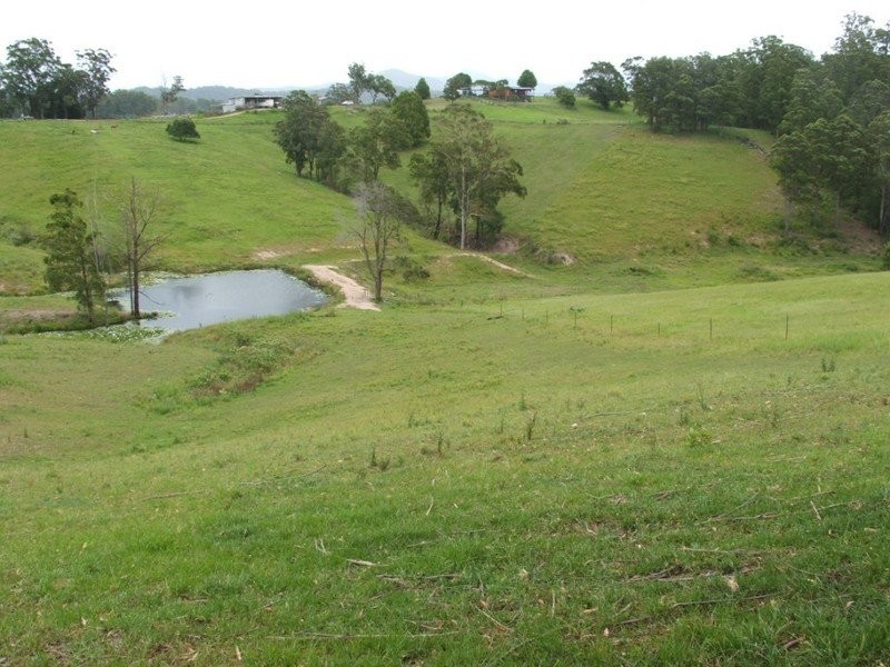 196 Wards Road, Utungun NSW 2447