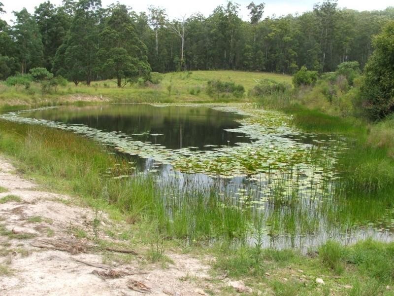 196 Wards Road, Utungun NSW 2447