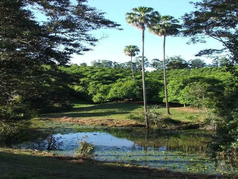 Lots 1 and 2 O’dells Road, Macksville NSW 2447