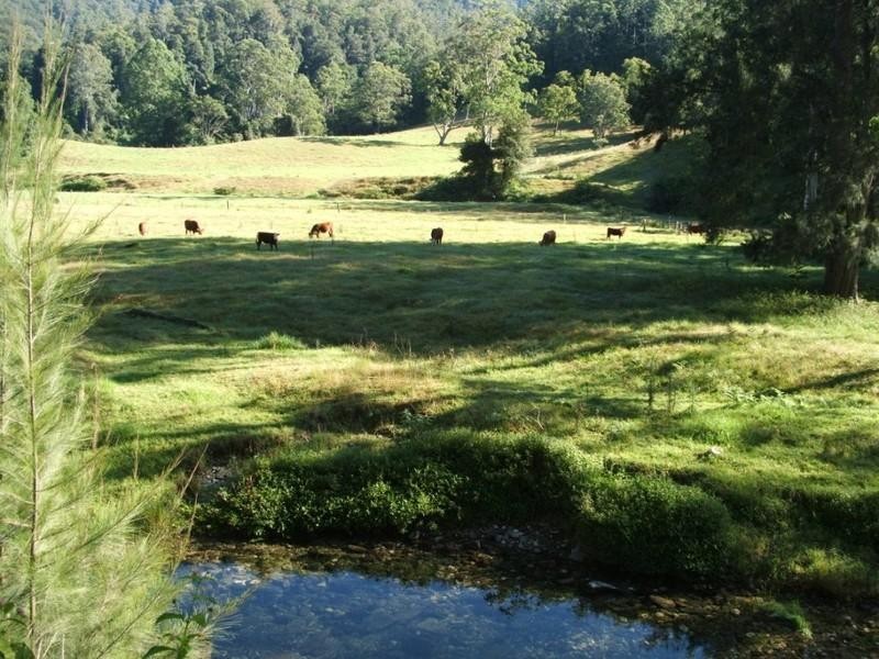 3546 North Arm Road, Bowraville NSW 2449