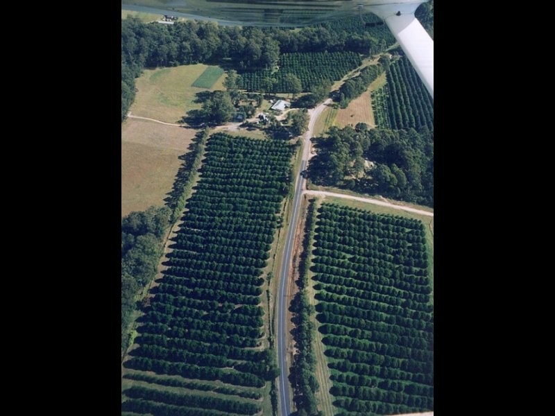 111 East West Road, Valla NSW 2448