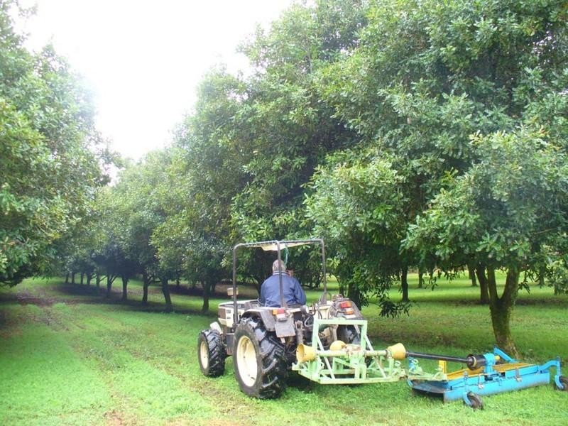 111 East West Road, Valla NSW 2448