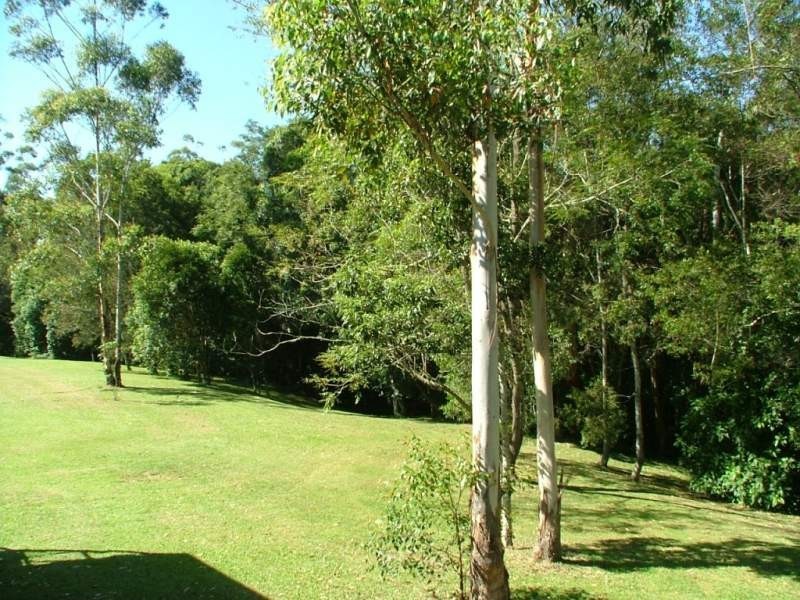 651 Allgomera Road, Eungai Creek NSW 2441