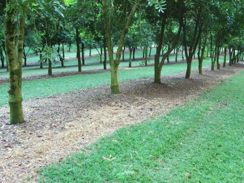 Lots 1 and 2 O’Dells Road, Macksville NSW 2447