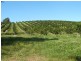 Lot 2 Main St Donnellyville, Macksville NSW 2447