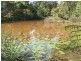 Lot 2 Main St Donnellyville, Macksville NSW 2447