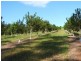 Lot 2 Main St Donnellyville, Macksville NSW 2447