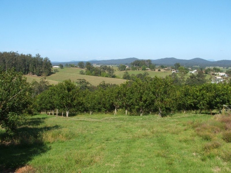 Lot 1 Main St Donnellyville, Macksville NSW 2447