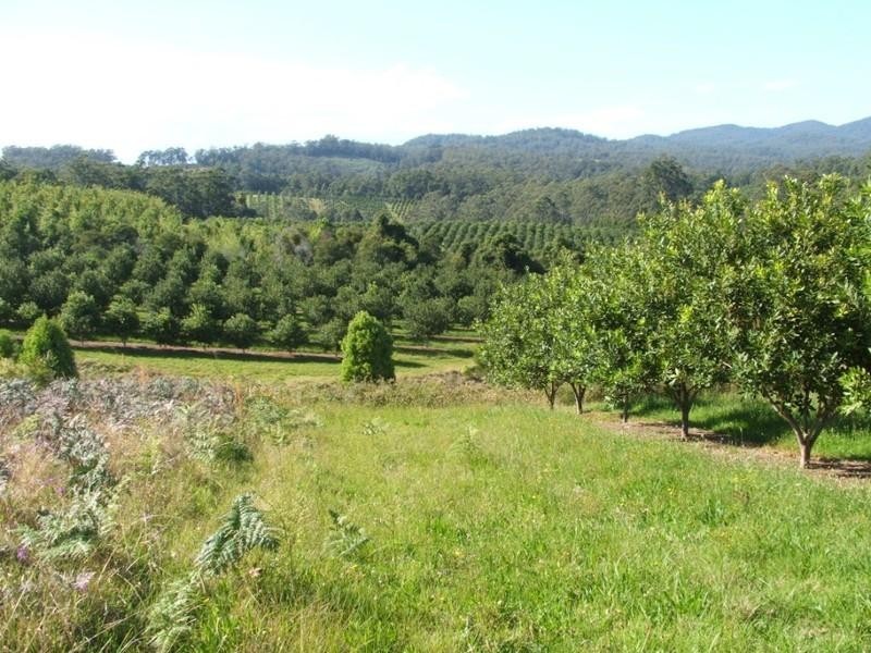 Lot 1 Main St Donnellyville, Macksville NSW 2447