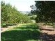 Lot 1 Main St Donnellyville, Macksville NSW 2447