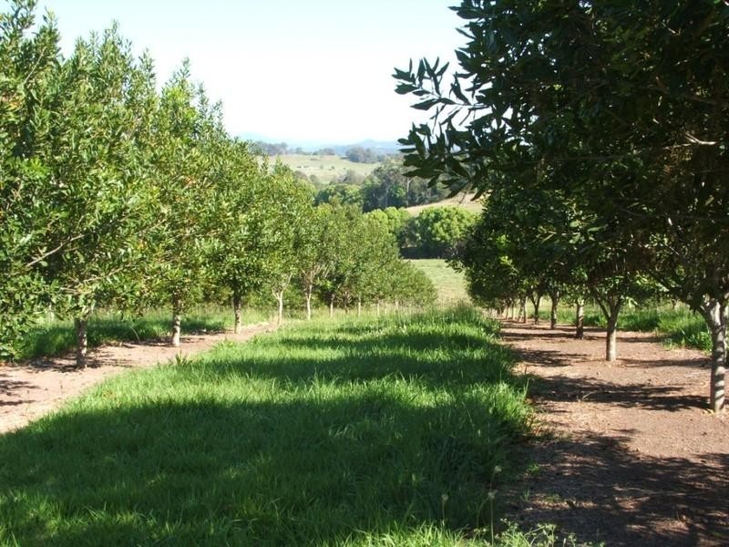 Lot 1 Main St Donnellyville, Macksville NSW 2447