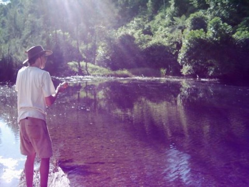 1756 North Arm Road, Bowraville NSW 2449