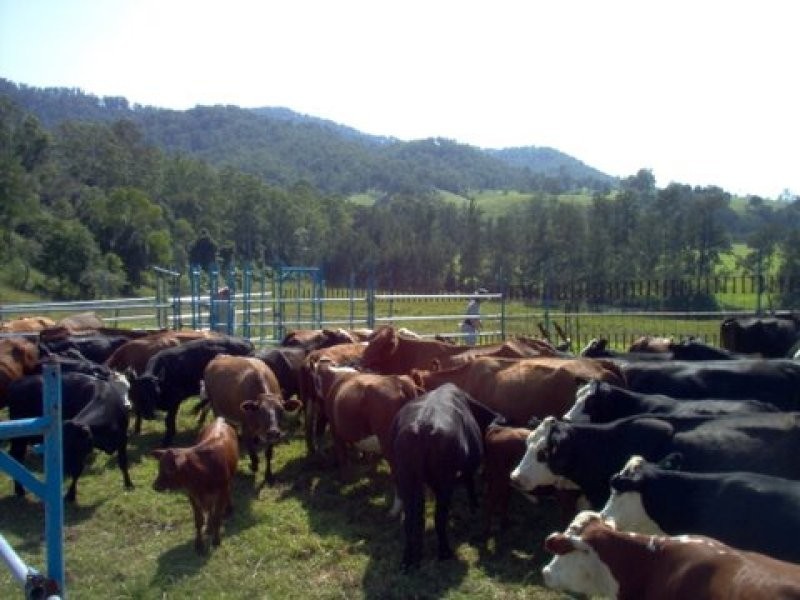 1756 North Arm Road, Bowraville NSW 2449