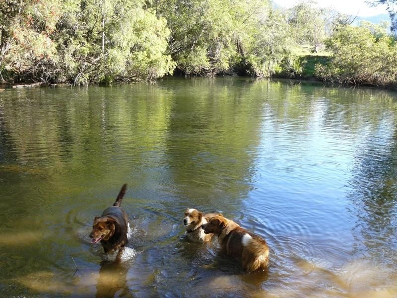 2927 Taylors Arm Road, Macksville NSW 2447