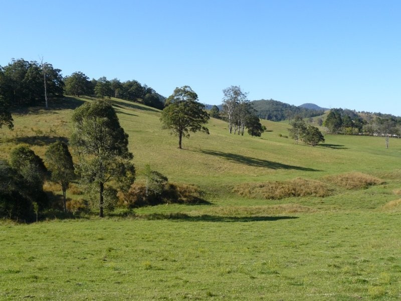 Upper  Taylors Arm Road, Macksville NSW 2447