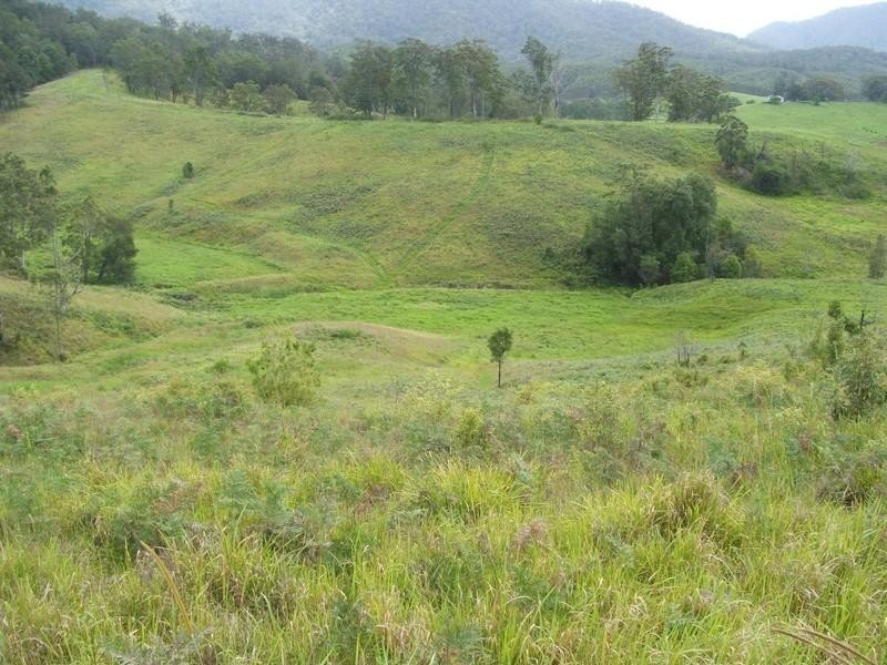 Lot 20 Lower Buckrabendinni Road,, Bowraville NSW 2449