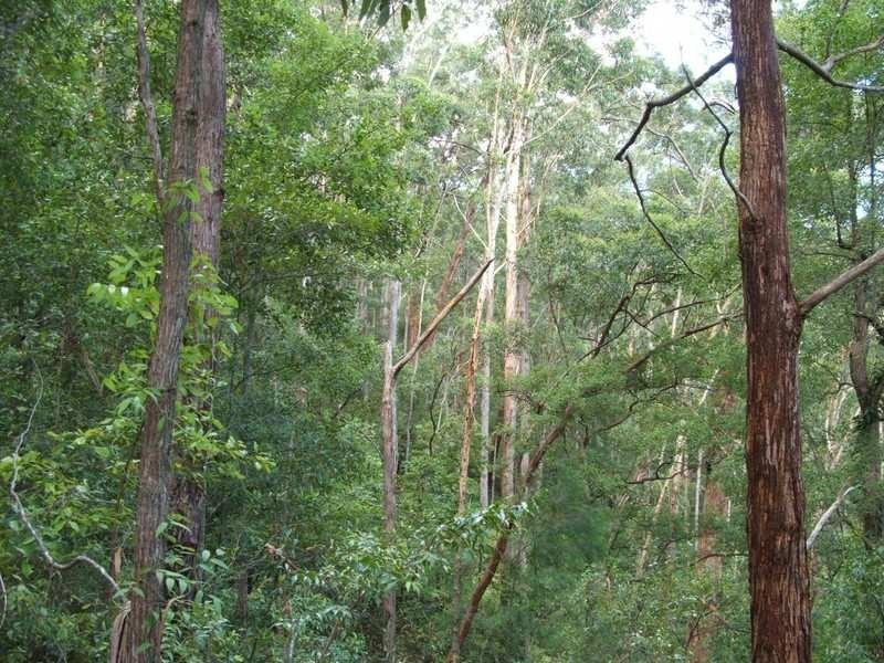 534 Missabotti Road, Bowraville NSW 2449