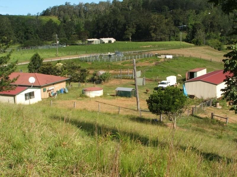 3901 Taylors Arm Road, Burrapine NSW 2447