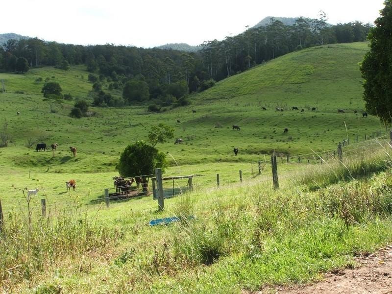 3901 Taylors Arm Road, Burrapine NSW 2447