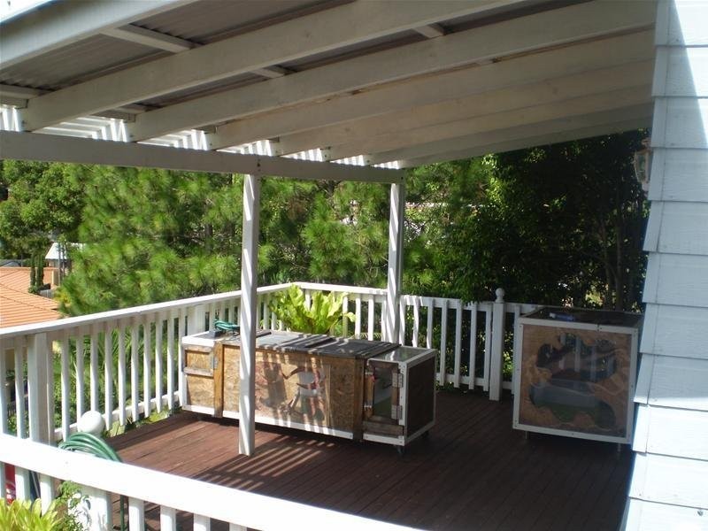 20 Bronzewing Close, Elanora QLD 4221
